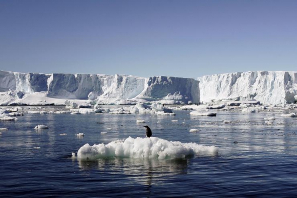 The increase in sea temperature in Antarctica causes the melting of ice blocks. Photo: Reuters.