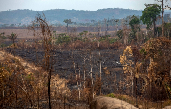 Área quemada tras incendio en la selva amazónica cerca de Novo Progresso, estado de Pará, Brasil. Foto: AFP