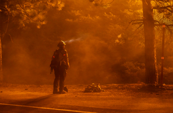 Un bombero vigila en el Bosque Nacional Angeles, en California, mientras espera el arribo de colegas y equipos. Foto: AFP