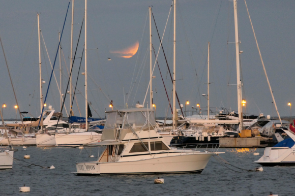 Port of Punta del Este: lunar eclipse.  Photo: Ricardo Figueredo