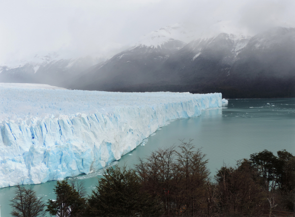 Calafate 02