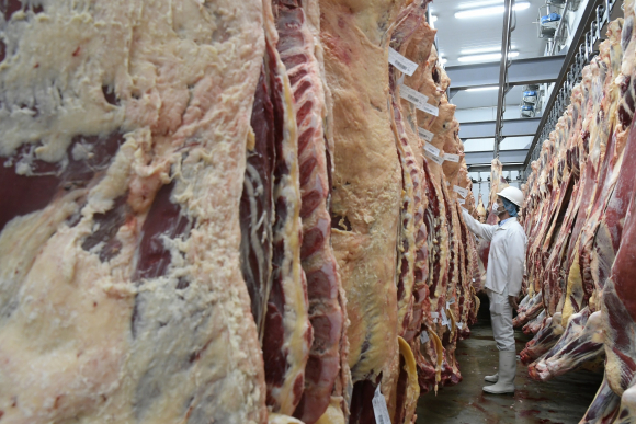 La carne fue producida por la empresa Mosaica y faenada en el frigorífico Solís.