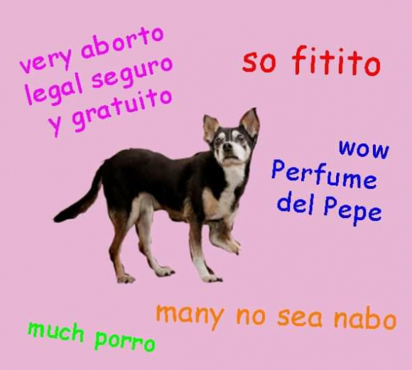 La presencia de Manuela, la perra de Mujica, en el torneo con este meme canino a cargo de @ema.etch