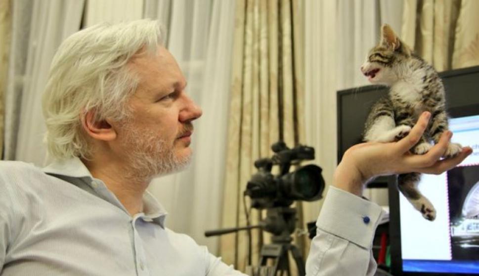 Las corbatas del gato de Julian Assange son un éxito en 