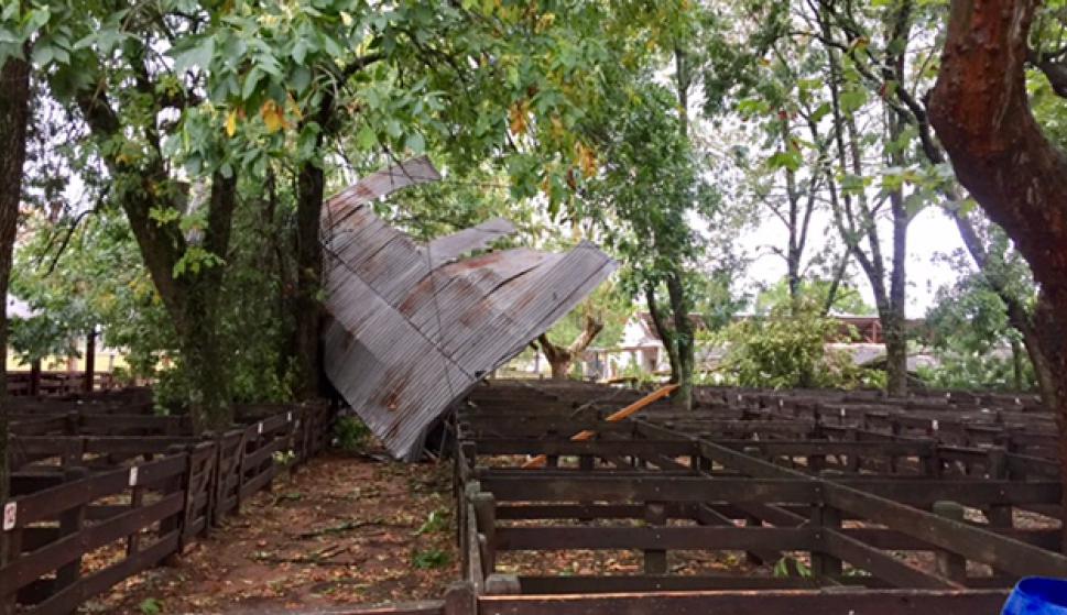En Cerro Largo los fuertes vientos causaron daños en los locales de la agropecuaria. Foto: Néstor Araújo