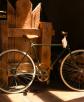 Las bicicletas de Alma Fuerte. Foto: Leticia Alonso